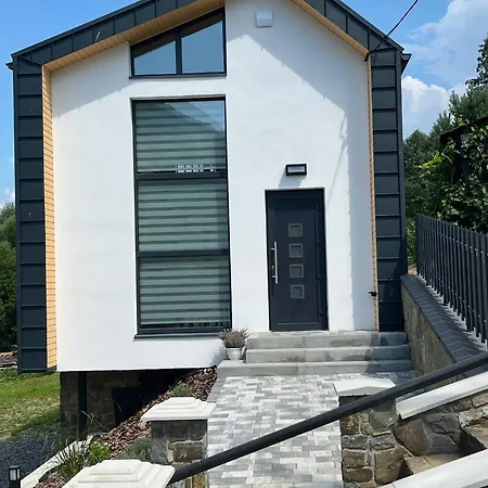 Feriehus старі друзі