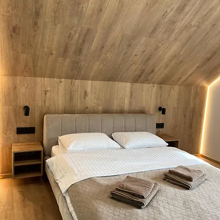 старі друзі Feriehus Slavske